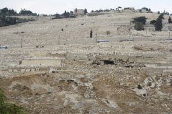 The Geology of Israel within the Biblical Creation-Flood Framework of History: 2. The Flood Rocks
