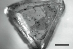 Radiohalos In Macle Diamond