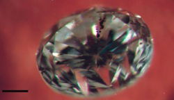 Diamond Impurities Reveal Water Deep Within the Mantle - Eos