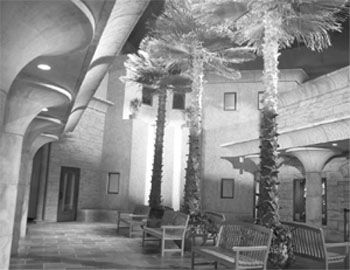 Creation Museum Palm Plaza