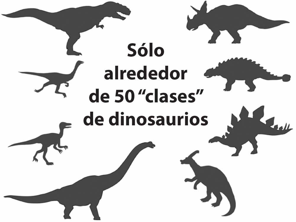 Clases de dinosaurios
