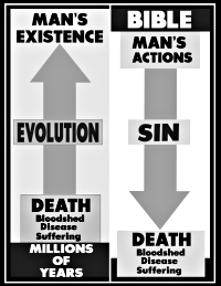 The origin of death, disease and suffering