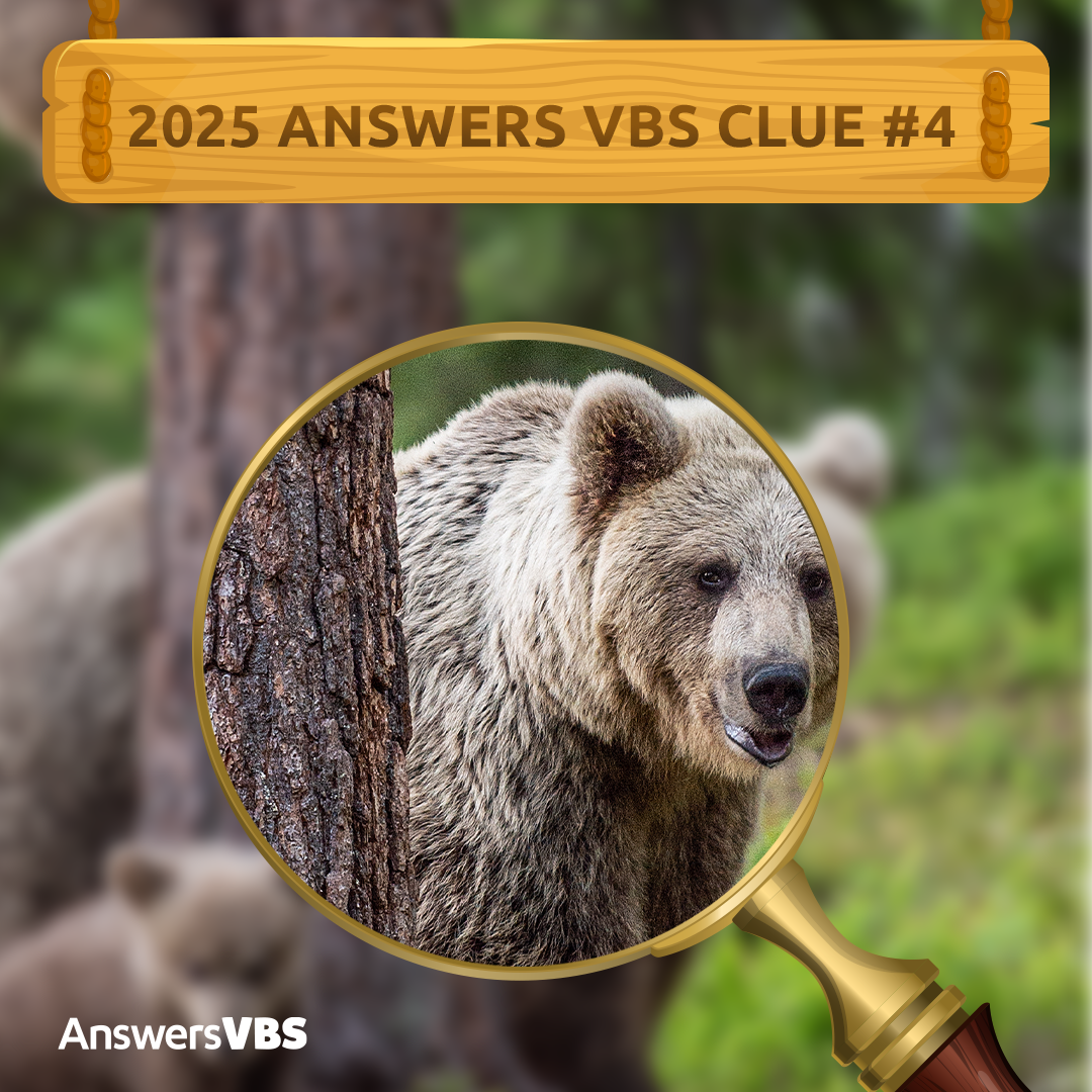 Wonder Juntion Clue #4: Bear