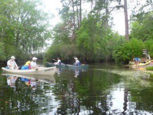 Okefenokee Swamp