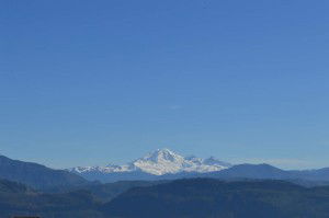 Mt. Baker