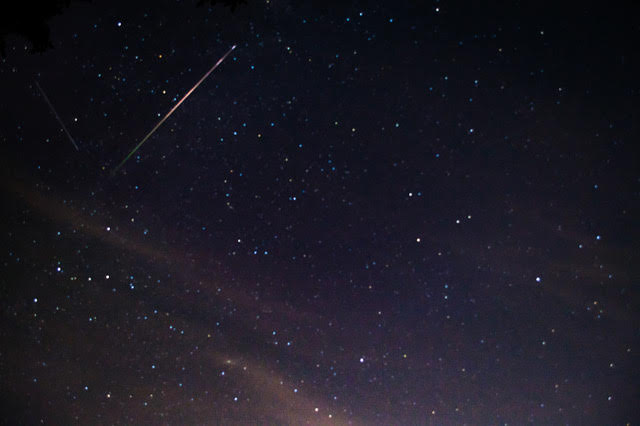 perseid sky