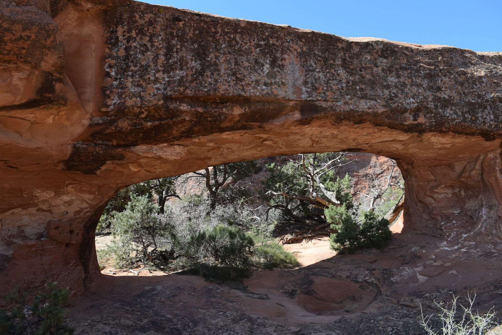 Box Arch
