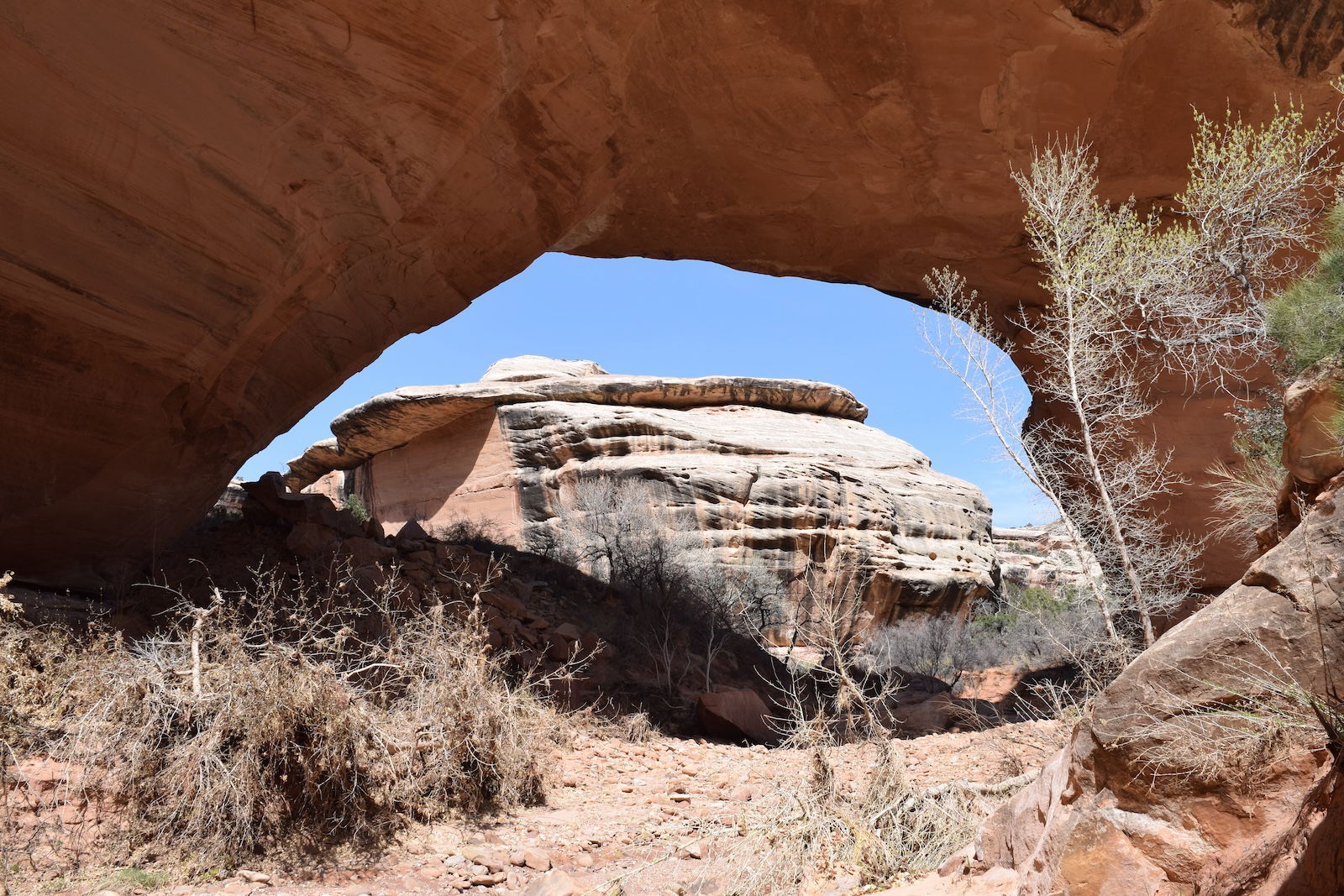 Kachina Bridge