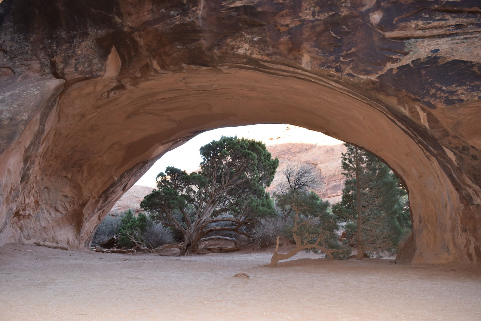 Navajo Arch