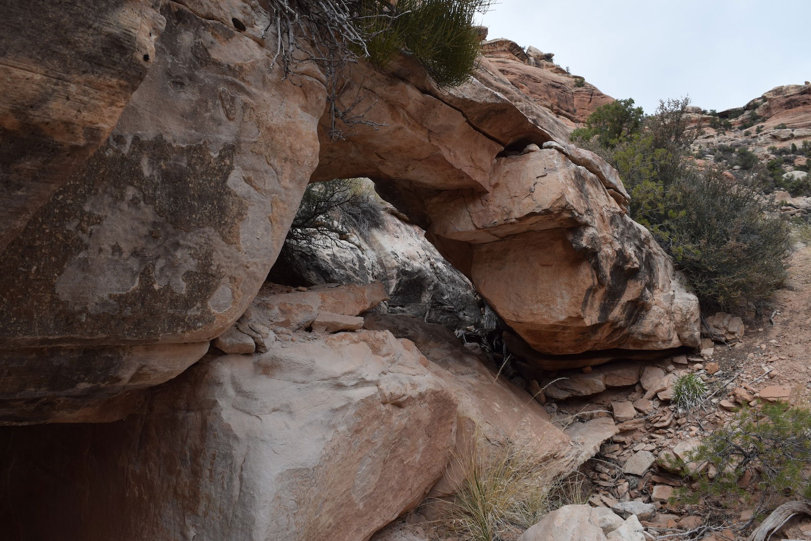 Owl Creek Canyon Arch