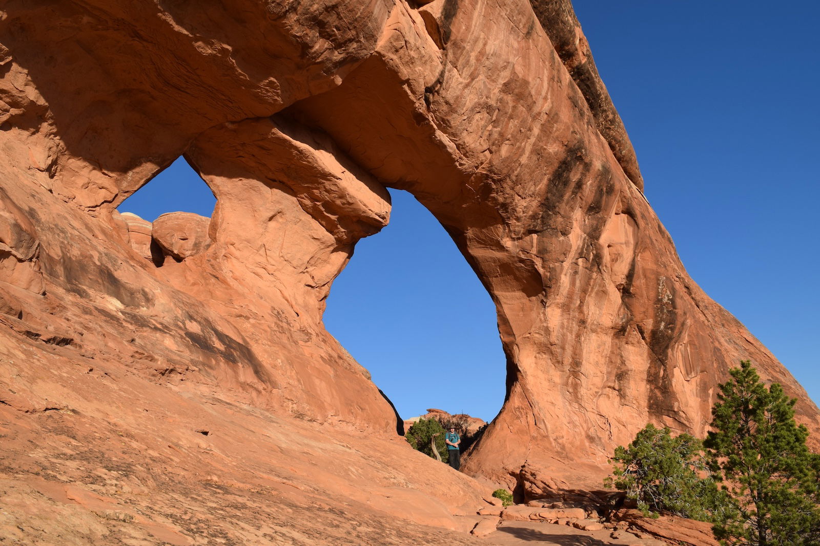 Partition Arch