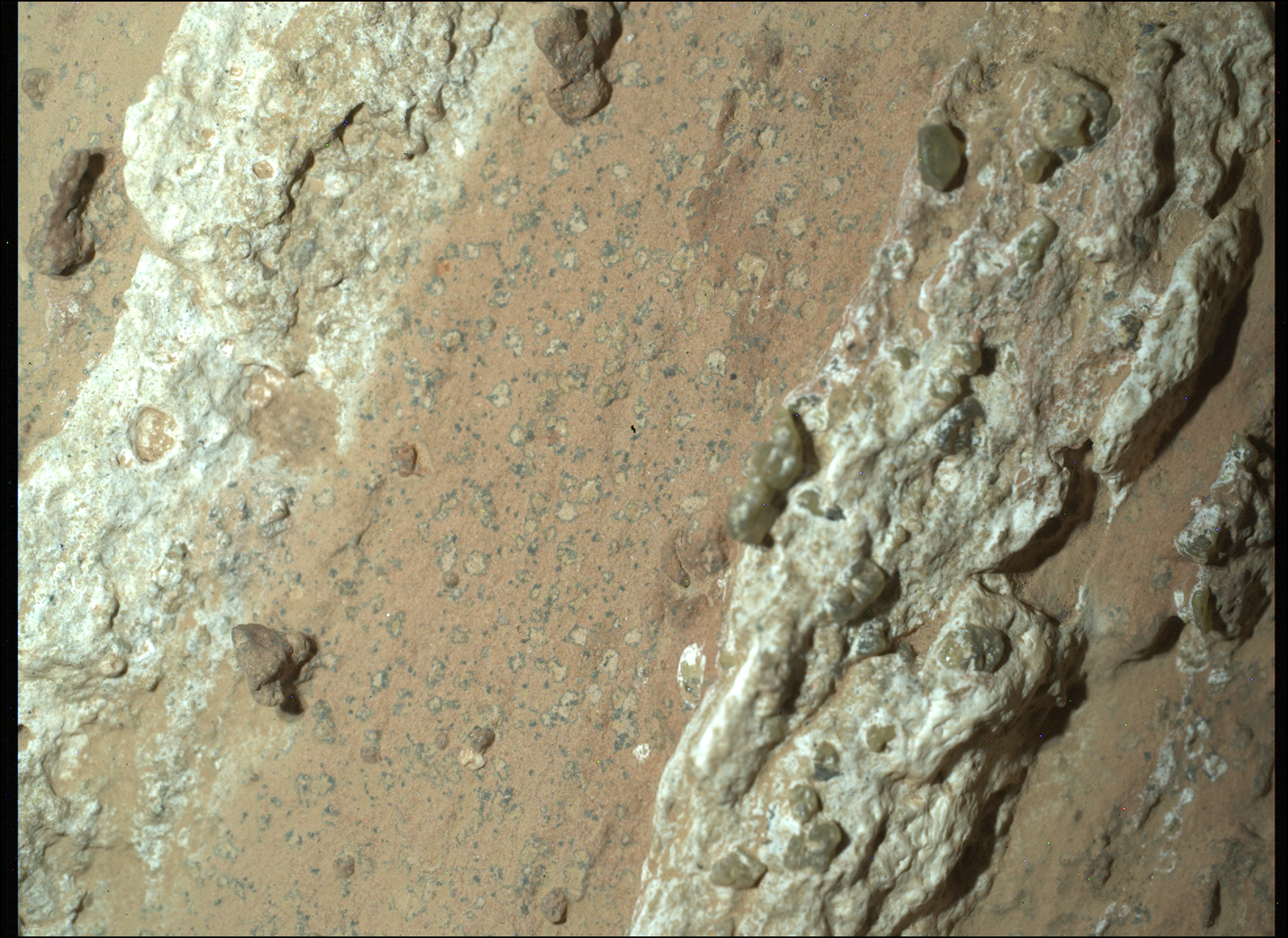 NASA image of rock with leopard spots