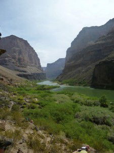 The winding Colorado River