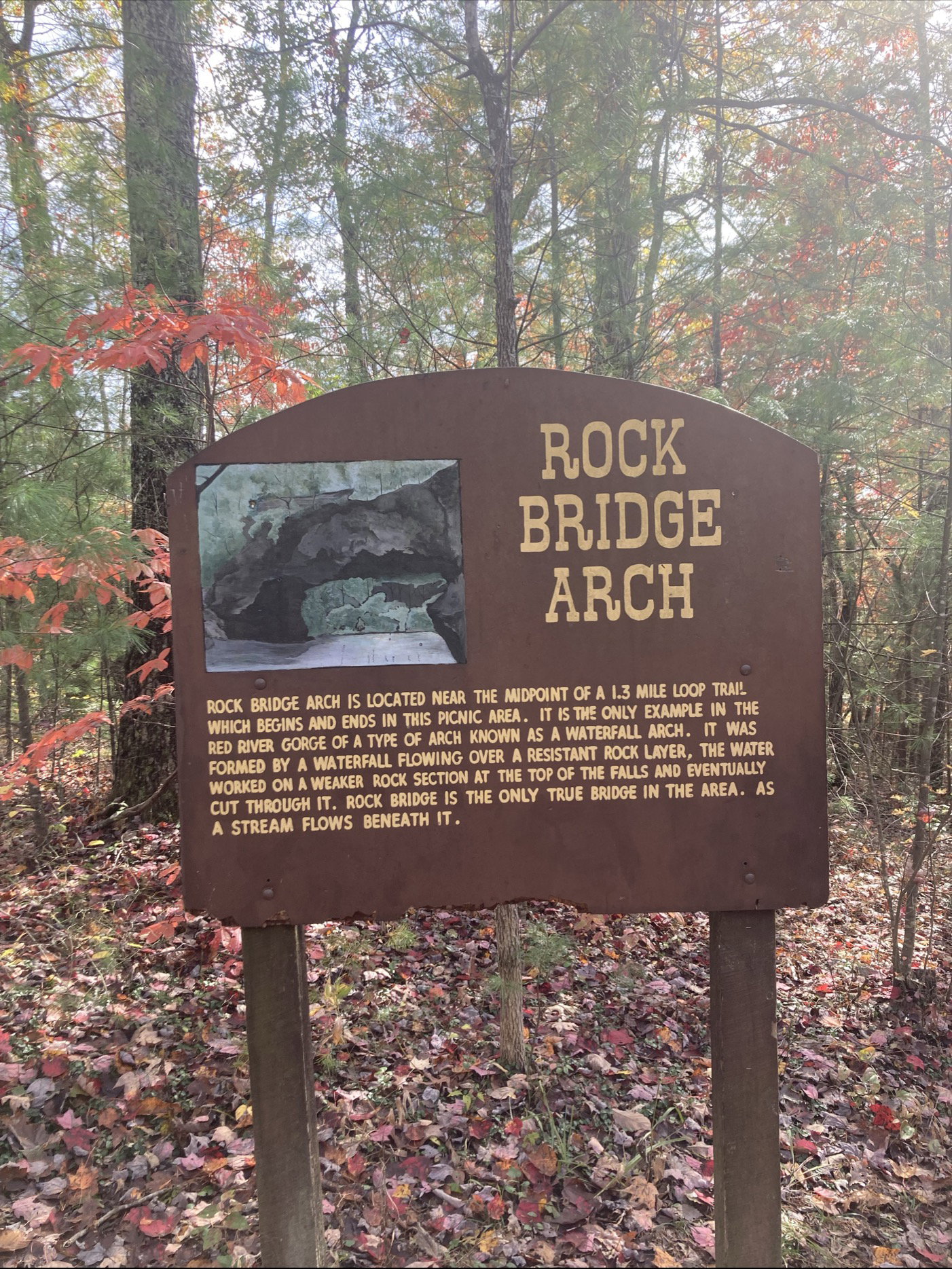 Rock Bridge Arch placard