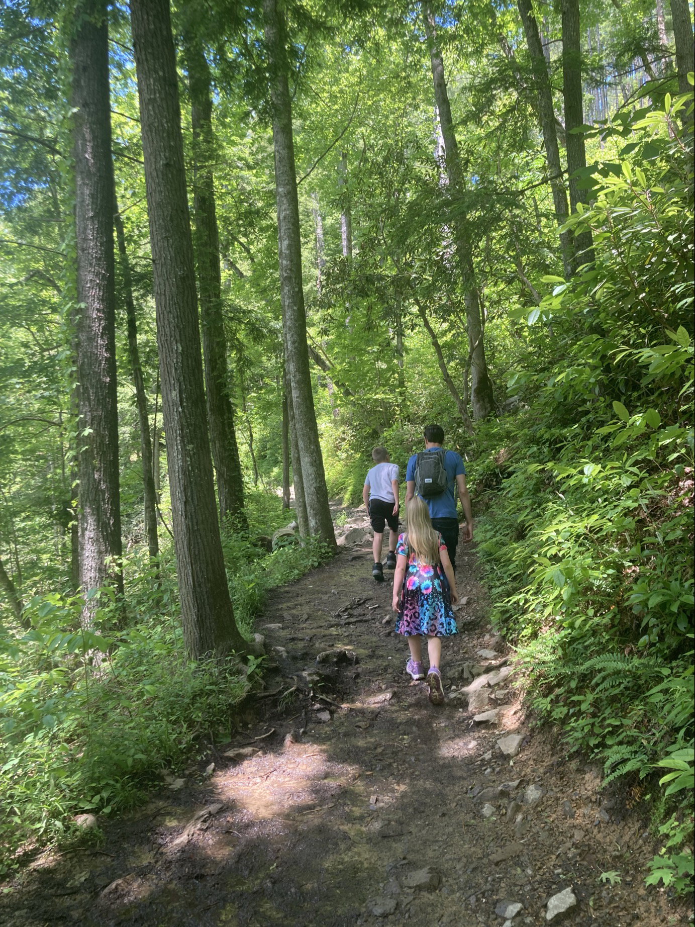 Family hiking in Smoky Mountains