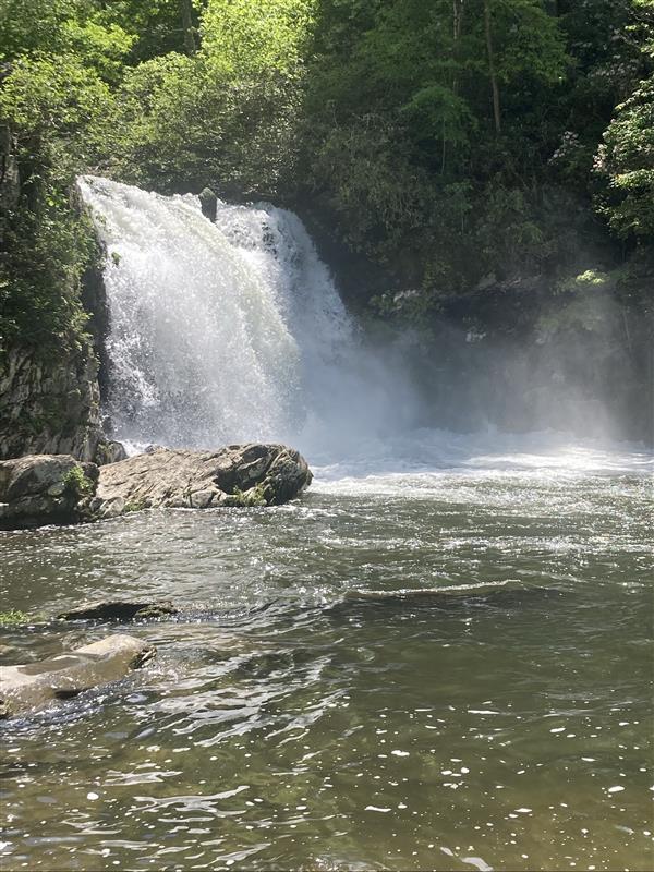 Waterfall in Smoky Mountains