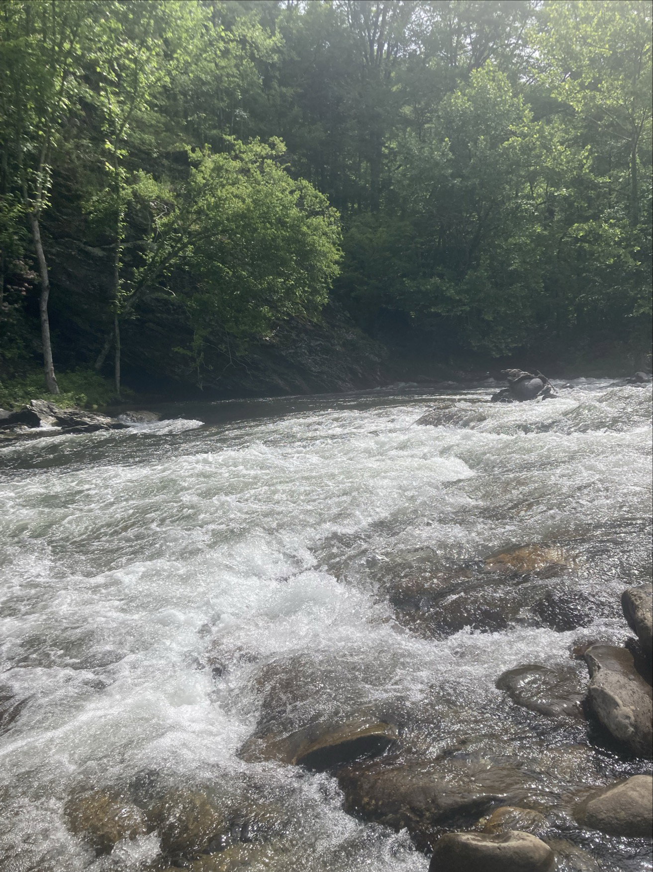 River in Smoky Mountains