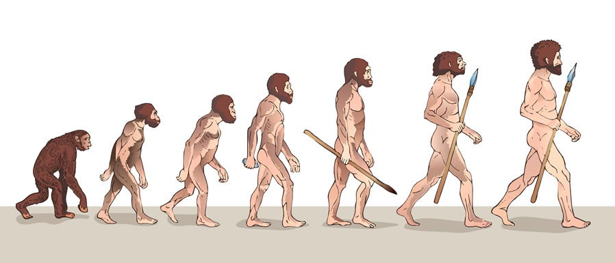 Evolution of Man