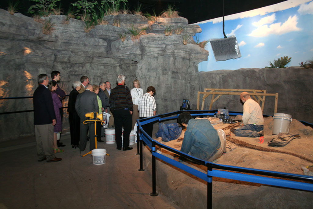 Creation Museum Construction