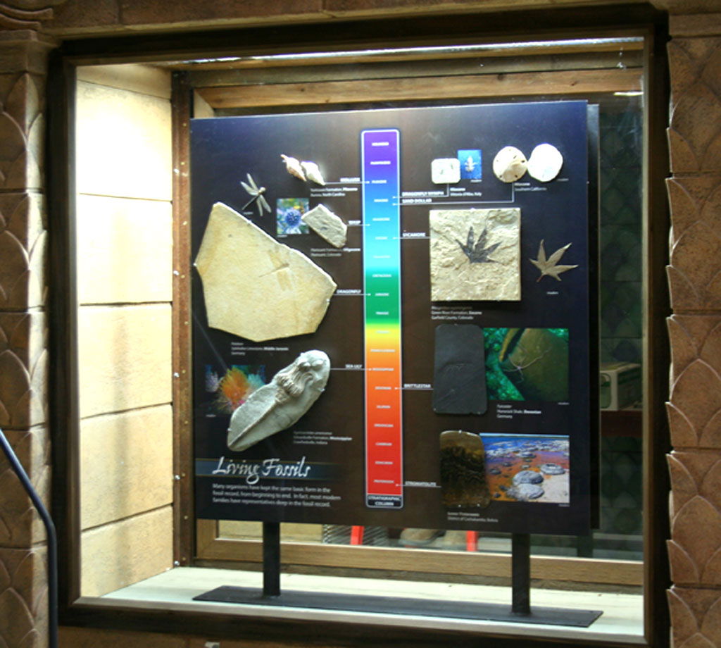 Displays in Mail Hall of Creation Museum