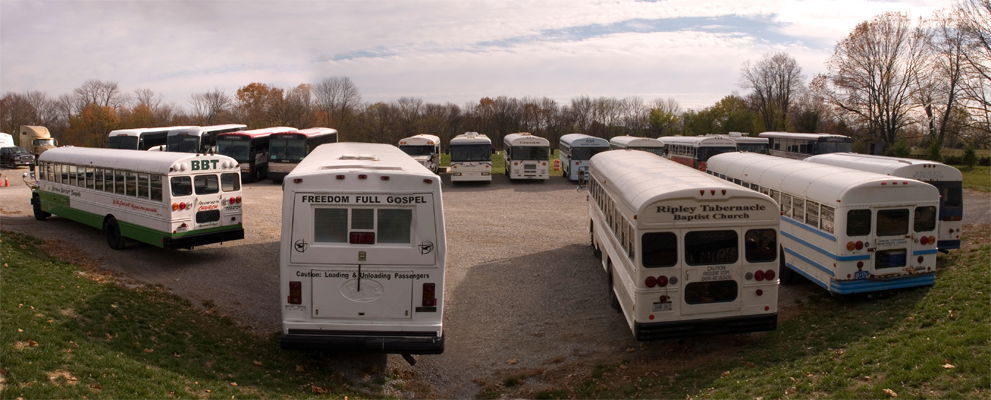 lots-of-busses.jpg