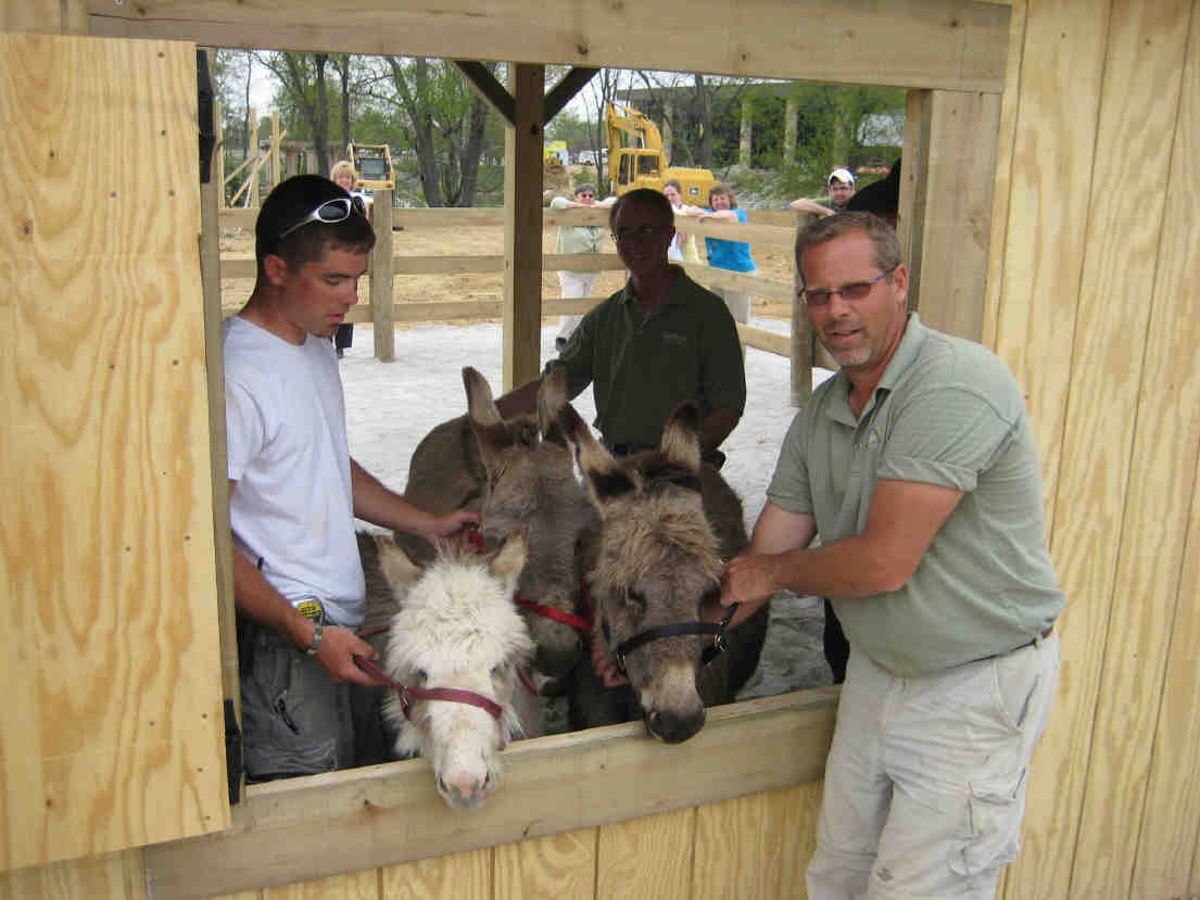 men-with-donkeys