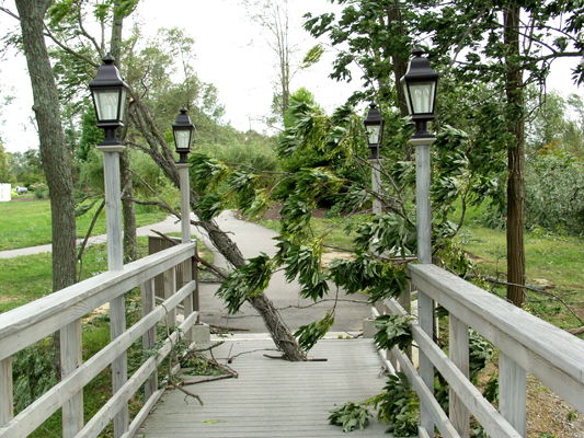 Windstorm at Creation Museum