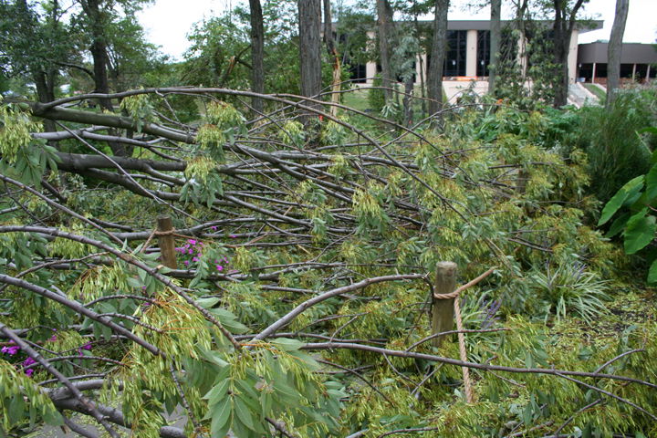 Windstorm at Creation Museum