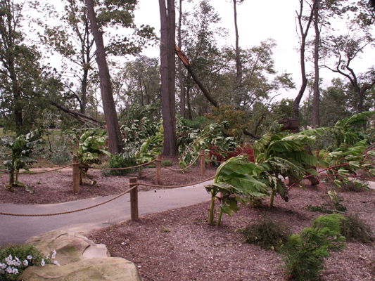 Windstorm at Creation Museum