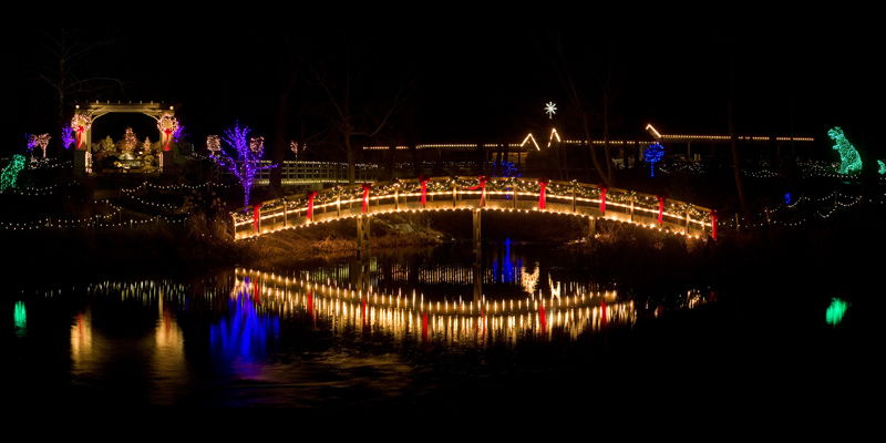 01lights-2008.jpg