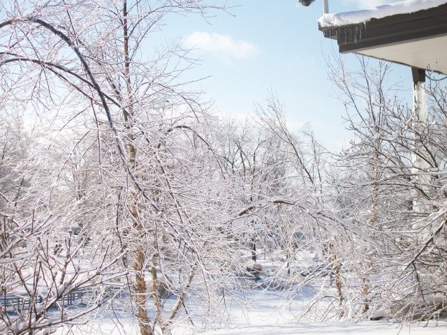 snow-january-088.jpg