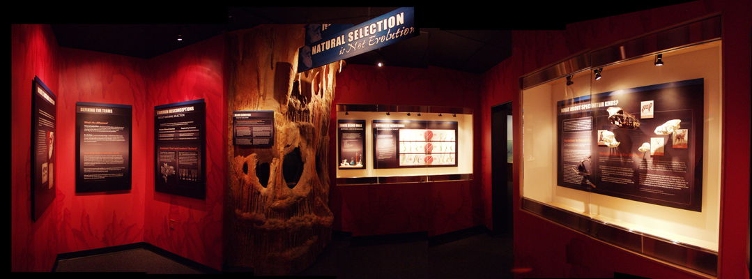 New Exhibit