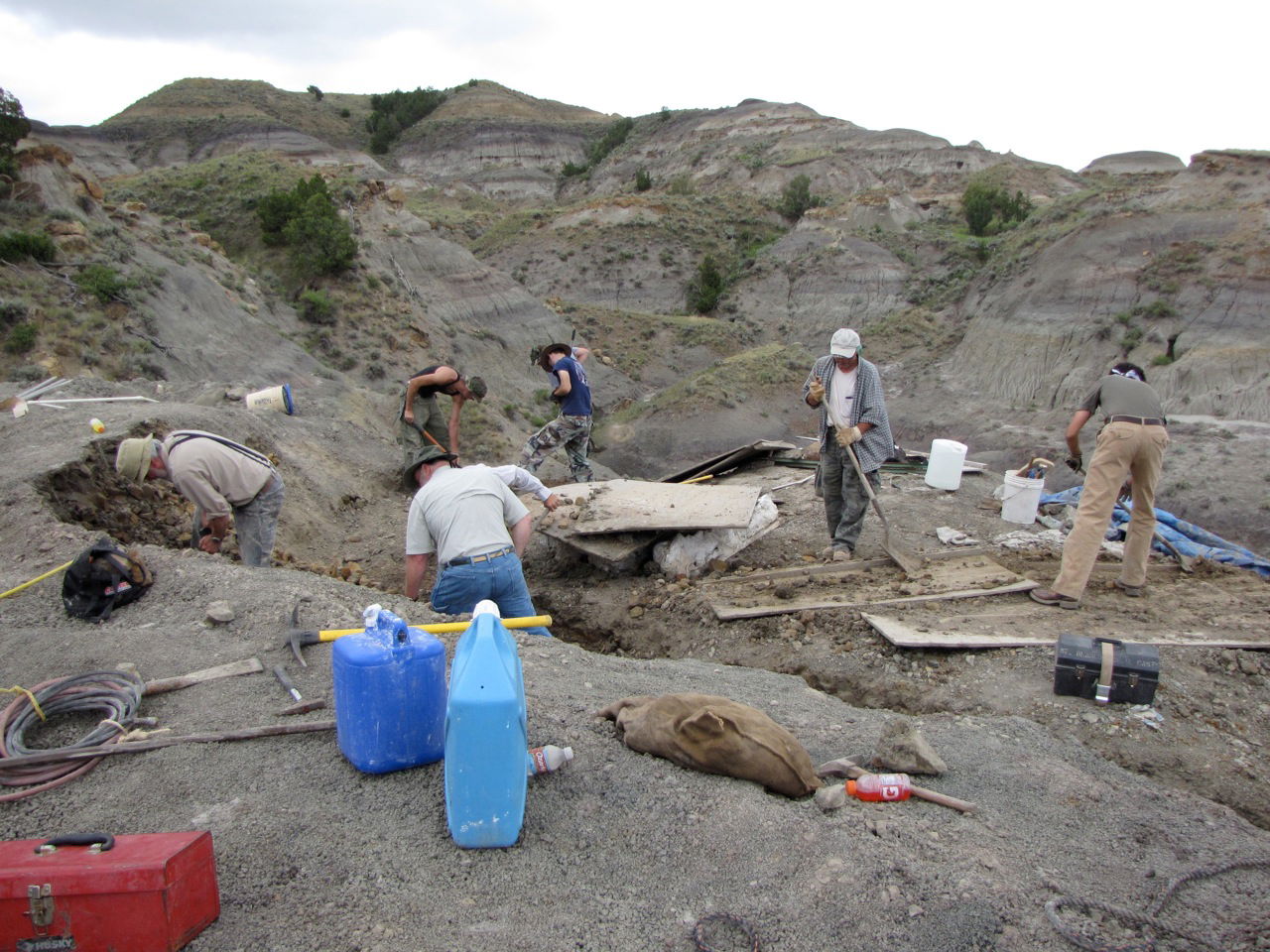 Montana Dinosaur Dig