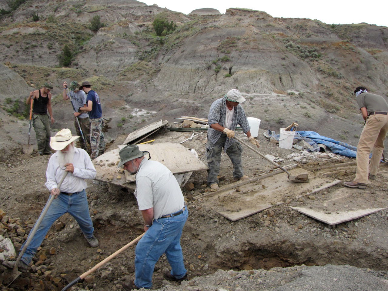 Montana Dinosaur Dig