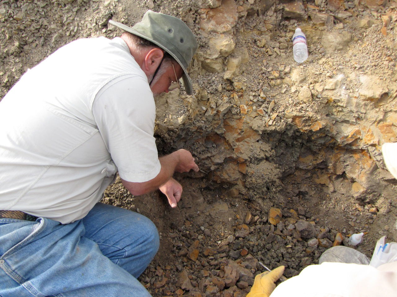 Montana Dinosaur Dig