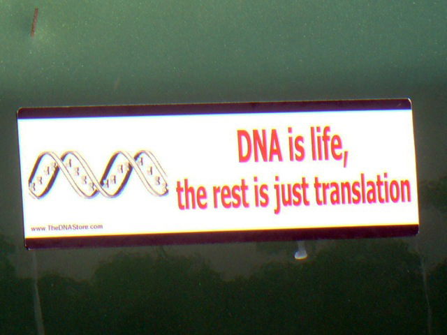 Bumper Sticker