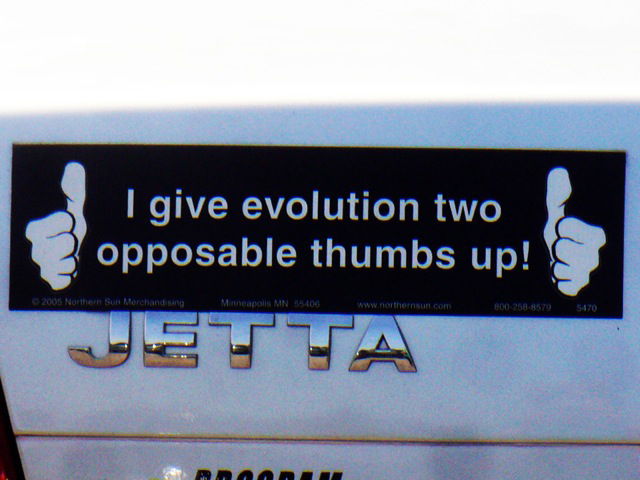 Bumper Sticker