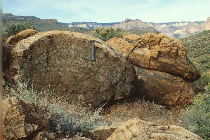 Stromatolites