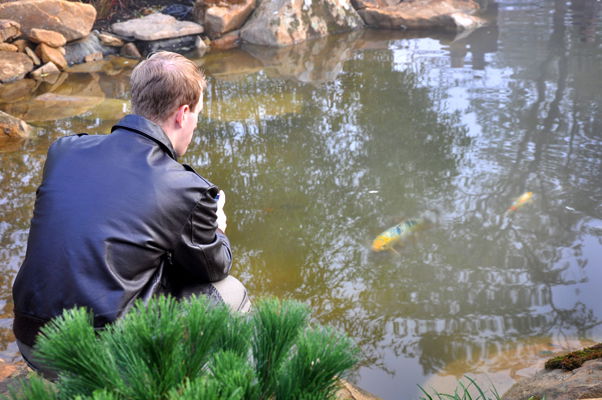 Koi Pond