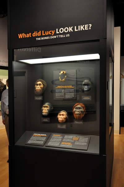 Lucy Exhibit