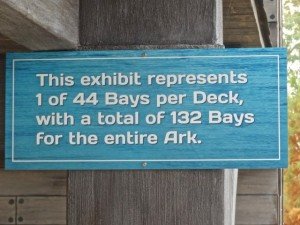 Bays in the Ark