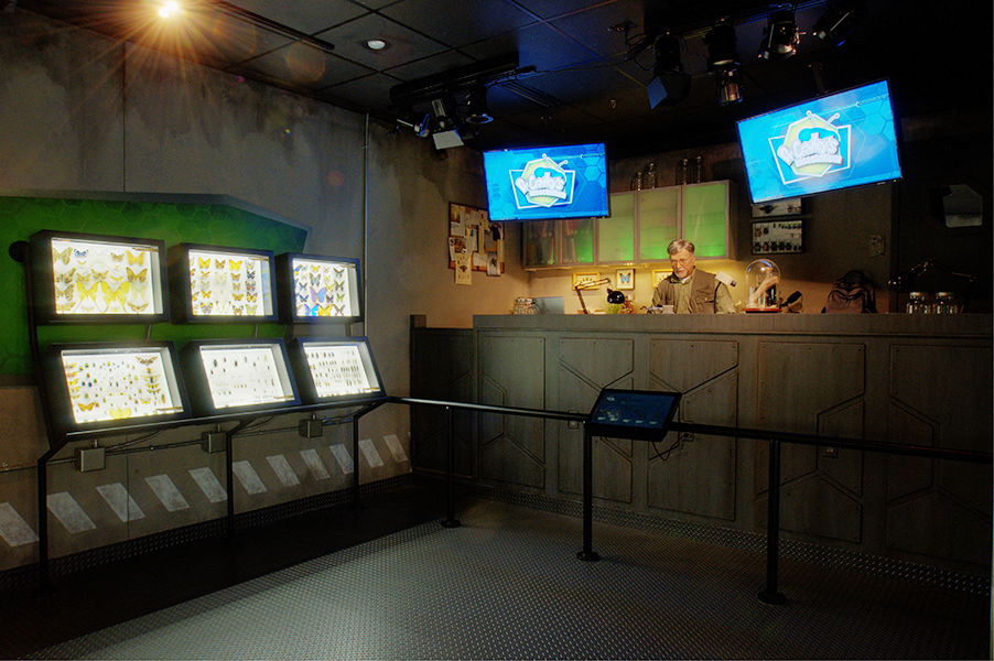 Insectorium Exhibit