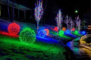 Christmas Town Garden of Lights