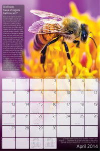 creation-calendar-2014-3