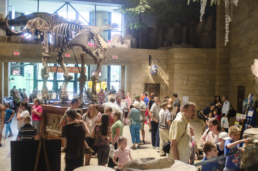 Creation Museum Guests