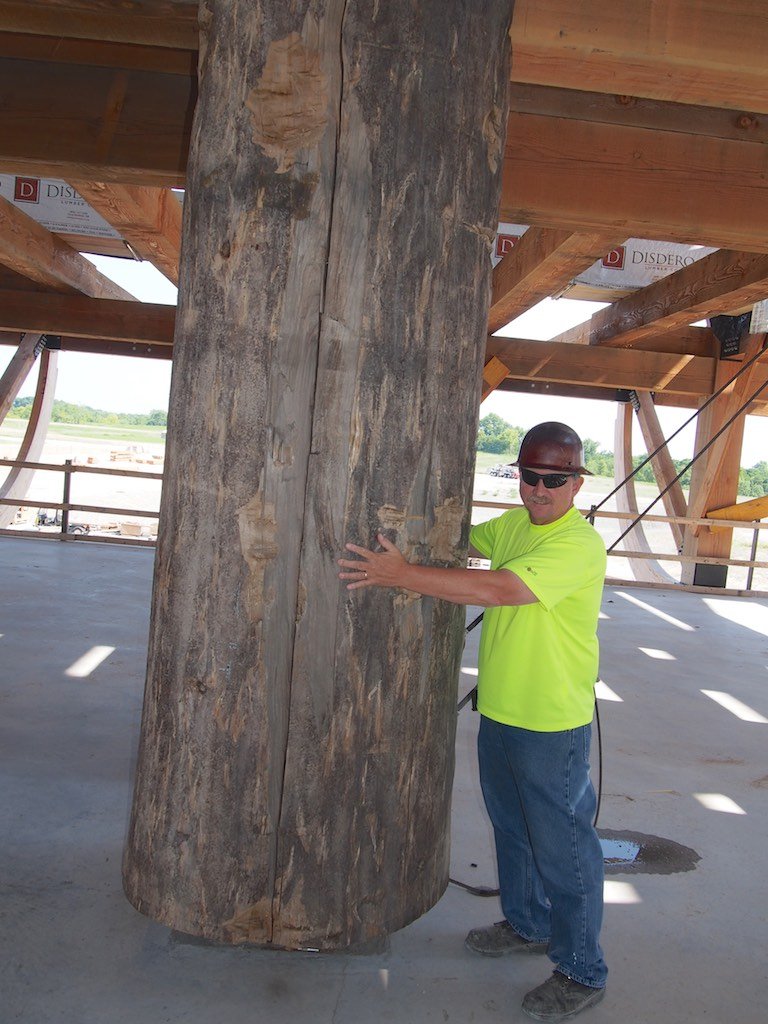 Size of one of the Logs