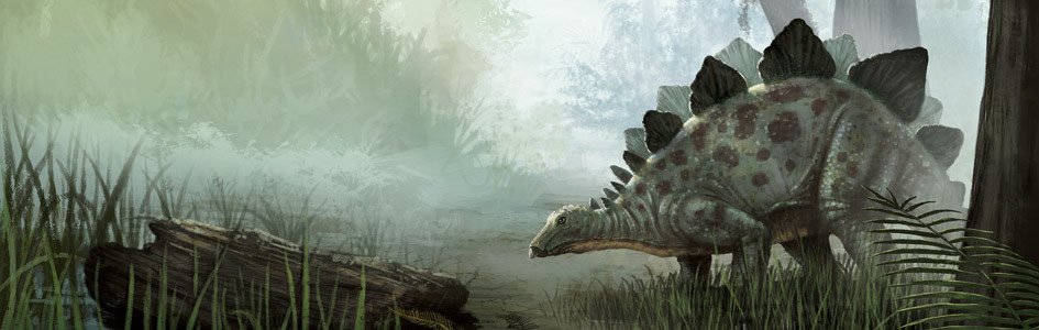 Stegasaurus