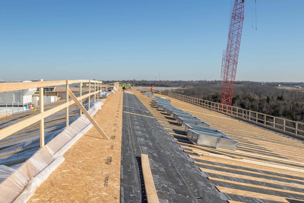 Ark Roof Deck View