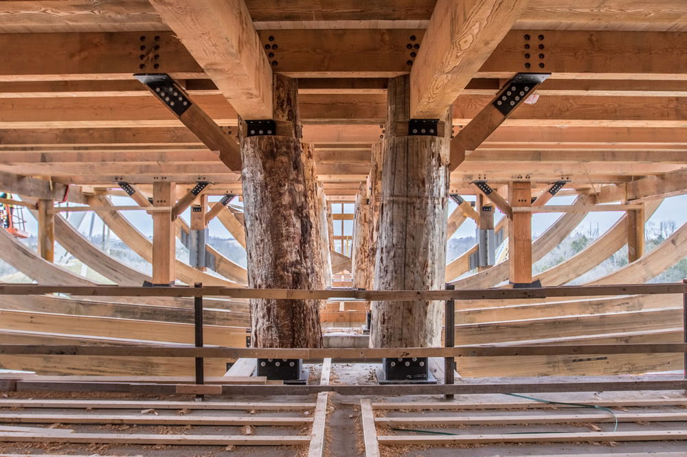 How Did Noah Build The Ark Answers In Genesis