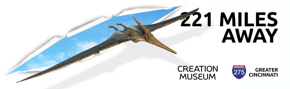 Flying Reptile Billboard